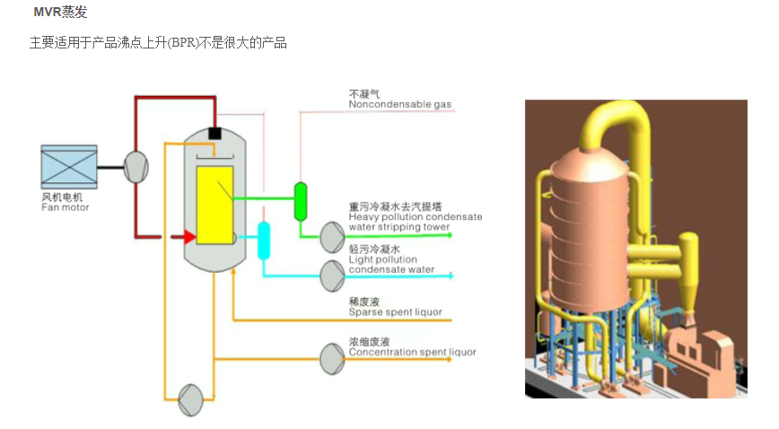 mvr蒸發器